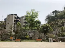 志龙观江嶺 2室2厅 西