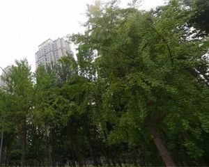 蓝润V客尚东二期3室1厅东
