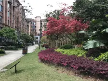 一楼花园洋房,住家精装,近轻轨,业主安心出售