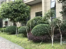 成熟地段,楼层 采光 视野好,近地铁