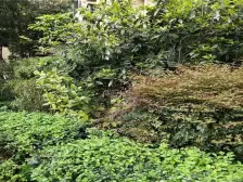 近轻轨的次新房2019年户型方正视野好朝向小区中庭安静