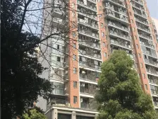新都汇精装一室一厅看中庭住家安静 楼下轻轨 出行方便