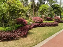 巴国城 绿云绣二房73万