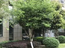 重庆东站旁轻轨站300米 楼间距宽装修好 户型方正