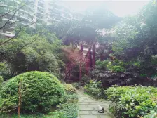 南坪商圈,精装三室,价格美丽,拎包入住