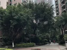 珠江花园北区 4室2厅 东南