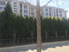 东山condo3室2厅南西北