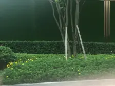 照母山大楼盘 清水跃层 视野正看双湖 2梯2户