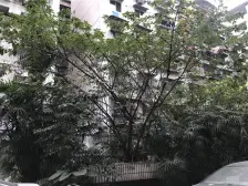 车站旁耀强花园大三房 户型方正大空间采光好 总价低