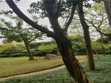 户型方正,采光不错,清水大跃层,朝中庭