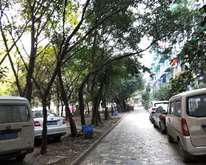 碧水锦楼3室2厅西北
