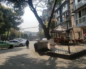金福苑(青羊)1室1厅西南