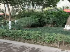 弹子石商圈轻轨房,户型方正,配套齐全