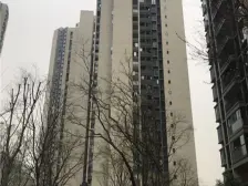 化龙桥 雍江翠湖三房