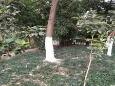 弹子石商圈轻轨房 户型方正 无浪费面积