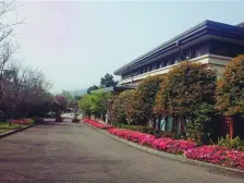 南山湿地公司旁 别墅社区 联排+多露台+花园+车位