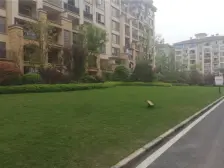 金科小复式,朝小区中庭,住家安静,户型洋气