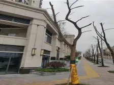 全新装修大四房,视野无敌,智能家居,价格可聊