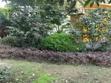 轻轨两房 楼下重庆三大商圈之一 购物便捷