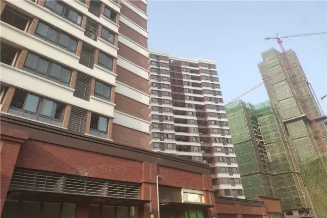 弘悦101