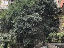 袁家小苑 2室2厅 东