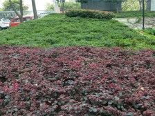 弹子石轻轨口精装一房,楼下商场和轻轨