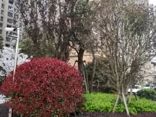 迪士尼·保利艾庐·3室·2厅