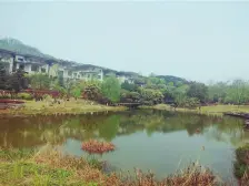南山 金隅大成南山郡一期五房385万