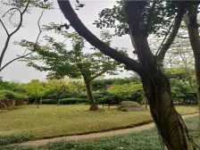 龙湖老洋房,认准这套性价比