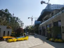 碧桂园中央公园北苑B区 满二 商品住宅 次新房 电梯房