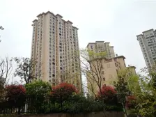 此房是个标准的两房,户型方正,采光好