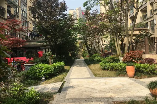 泽科港城国际锦云香缇