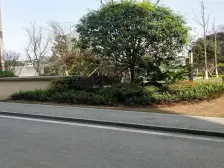 弹子石 泽科弹子石中心一房55万