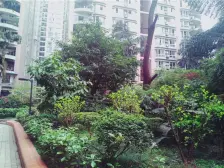 南坪商圈电梯房 中间楼层,户型方正,采光充足