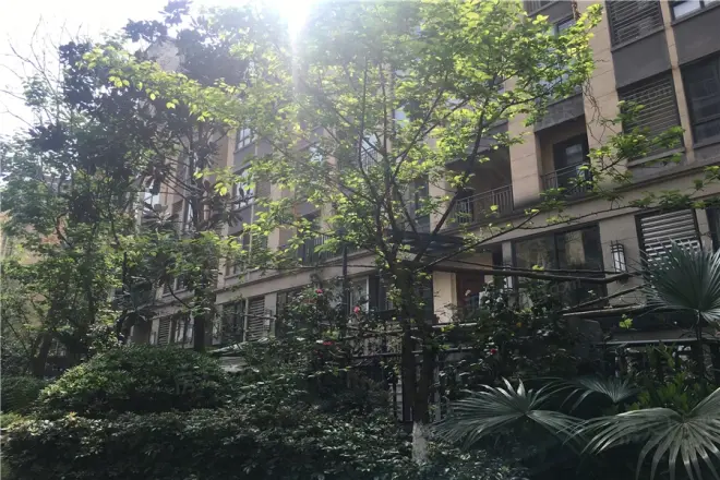 泽科港城国际锦云香缇