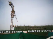 碧桂园双湖城 3室2厅 南