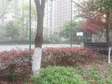 小区环境优美,楼层好,物业尽职尽责