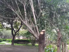 户型方正,小区位置好,配套齐全,交通便利