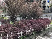 万象城正对 精装三房双卫 次新小区 上八十