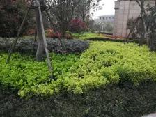 保利艾庐 3室2厅 南