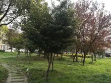 富康苑户型舒适的大两室 近商场和地铁 配套齐全