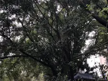 弘扬万象雅居 4室2厅 东