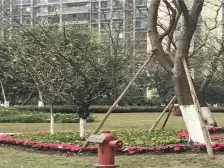 重庆天地雍江翠湖 2室1厅 西南