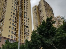 急卖好房,户型方正,采光充足,优质房源