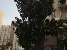 低密度社区,清水毛坯,南北通两房,看房方便