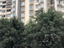 袁家岗 袁家小苑二房45万