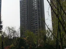 约克郡汀兰 3室1厅 东南