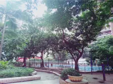 南坪 星宇花园四房168万