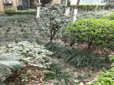 弹子石轻轨旁 两房两卫 2梯4户 楼龄新 自选装修风格