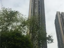 财信渝中城,2016年次新小区,楼下双轻轨,